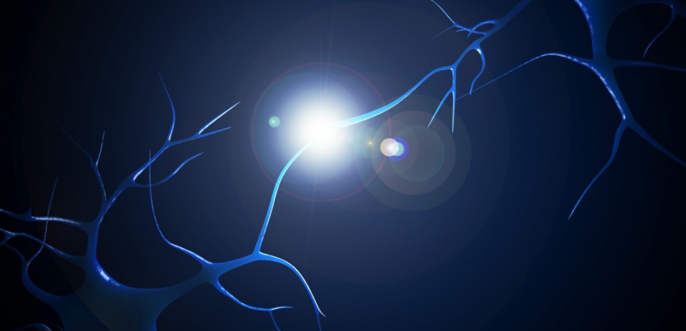 optogenetique-eclairer-les-neurones-pour-retrouver-la-memoire