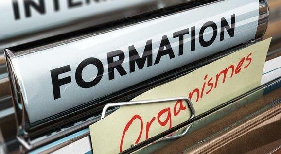 L’actualité Formation : Réforme : comment les organismes adaptent leur offre de formation ?