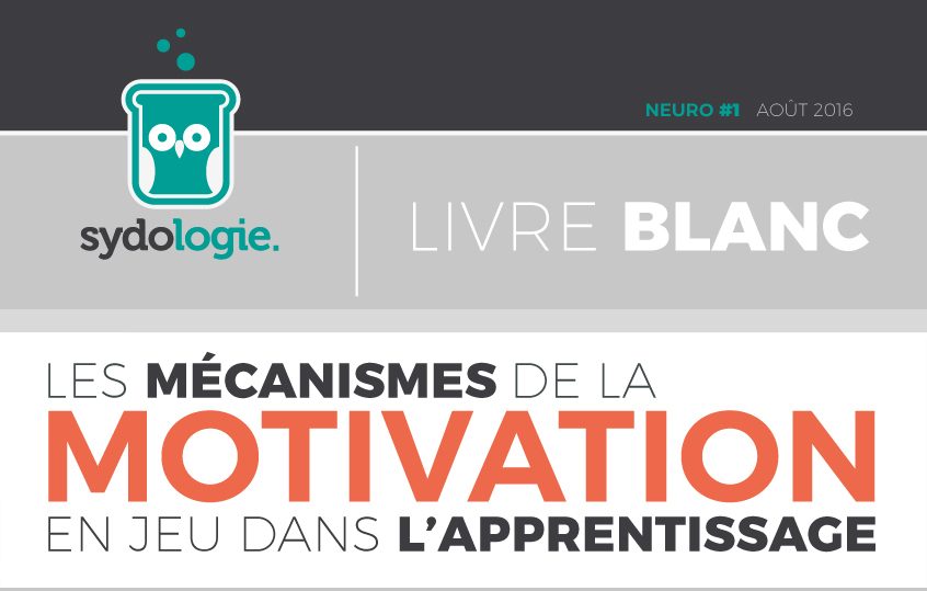 Les mécanismes de la motivation en jeu dans l’apprentissage – Sydologie