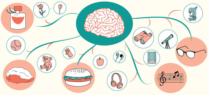 [DOSSIER] Mind Map et Pédagogie – Sydologie