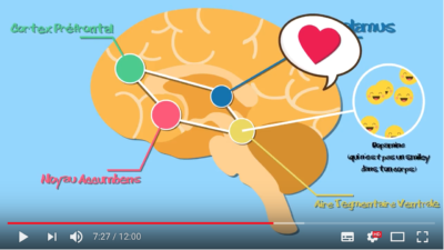 video-comment-notre-cerveau-nous-pousse-a-faire-des-efforts-ou-pas