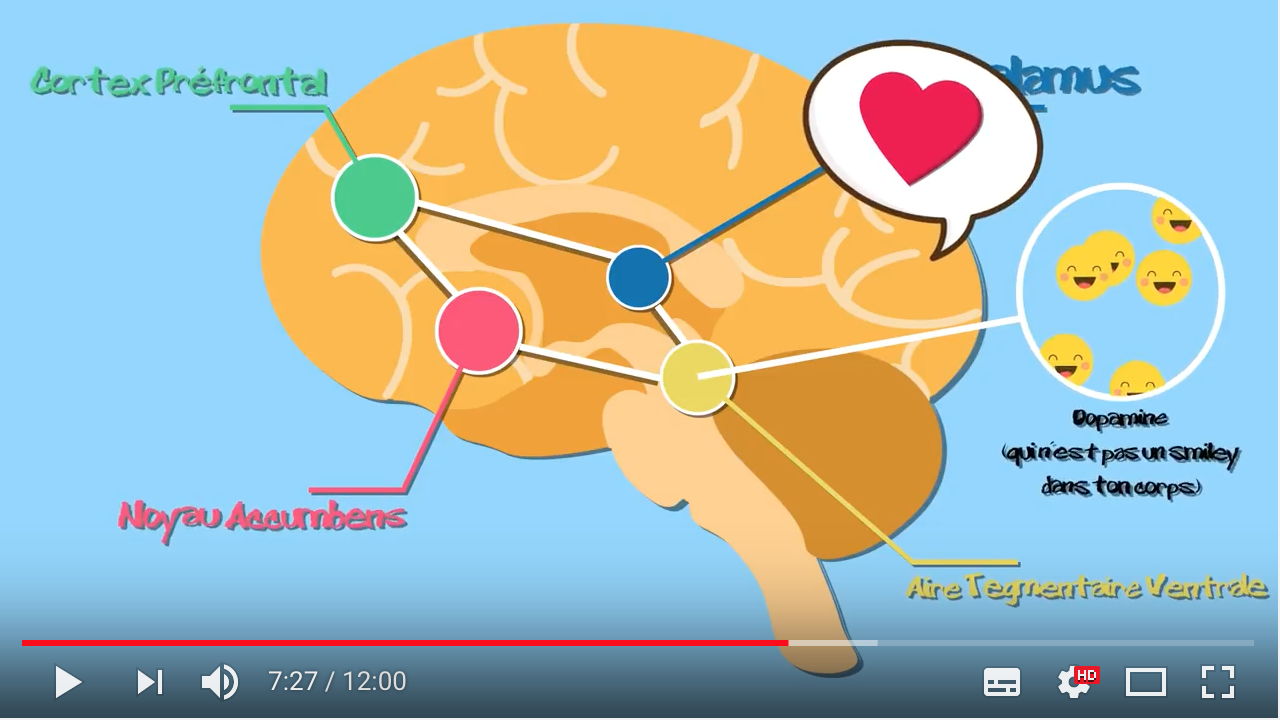 Vidéo : Comment notre cerveau nous pousse à faire des efforts… ou pas