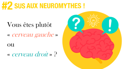 sus-aux-neuromythes-episode-2-vous-etes-plutot-cerveau-gauche-ou-cerveau-droit-sydologie