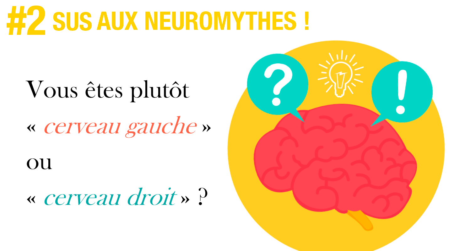 [Sus aux neuromythes ! ] Episode 2 : Vous êtes plutôt « cerveau gauche » ou « cerveau droit » ? — Sydologie