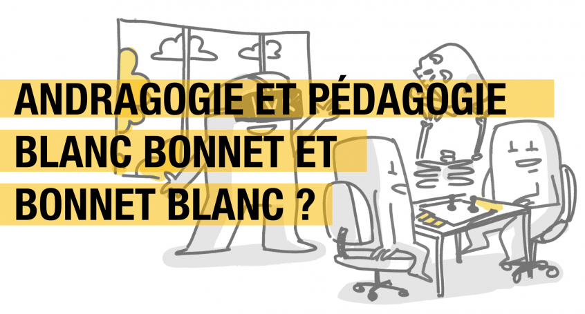 Andragogie et Pédagogie, blanc bonnet et bonnet blanc ? — Sydologie