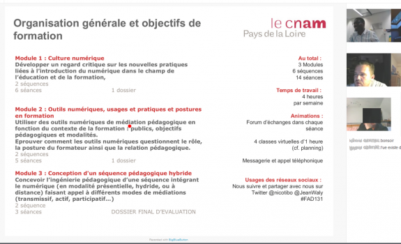 La régulation pédagogique en formation à distance via la classe virtuelle — Le Cnam