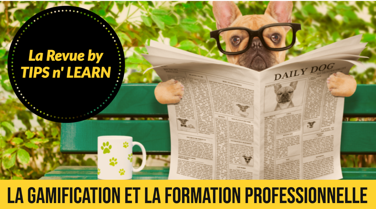 La gamification dans la formation professionnelle — Tips’n Learn