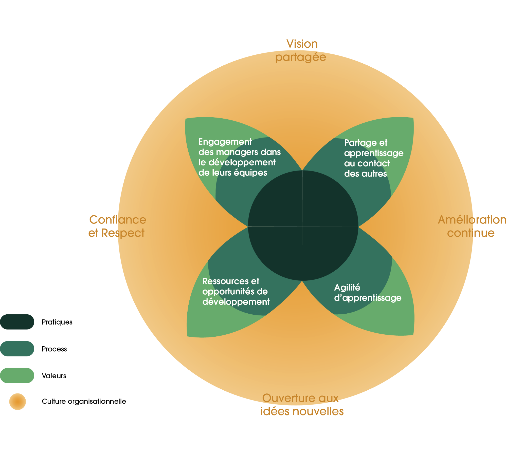 Mesurez et Renforcez votre Learning Culture — Formetris