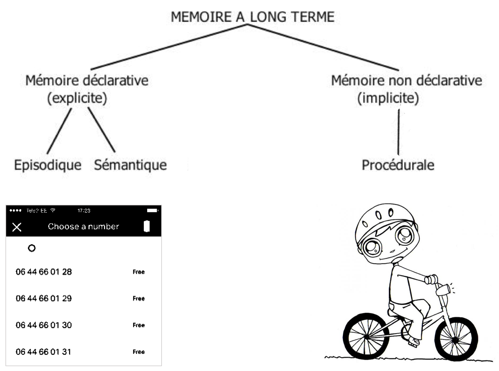 Apprendre sans le savoir ? — Le monde