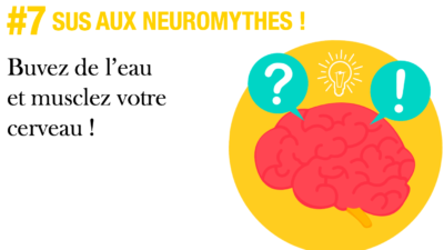sus-aux-neuromythes-episode-7-buvez-de-leau-et-musclez-votre-cerveau-partie-2-2-sydologie