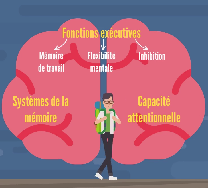 QUE SONT LES SCIENCES COGNITIVES DE L’APPRENTISSAGE ? — Sciences cognitives