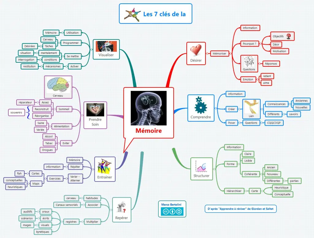 Mémoire – 7 clés pour l’améliorer ou l’entretenir — Formation 3.0