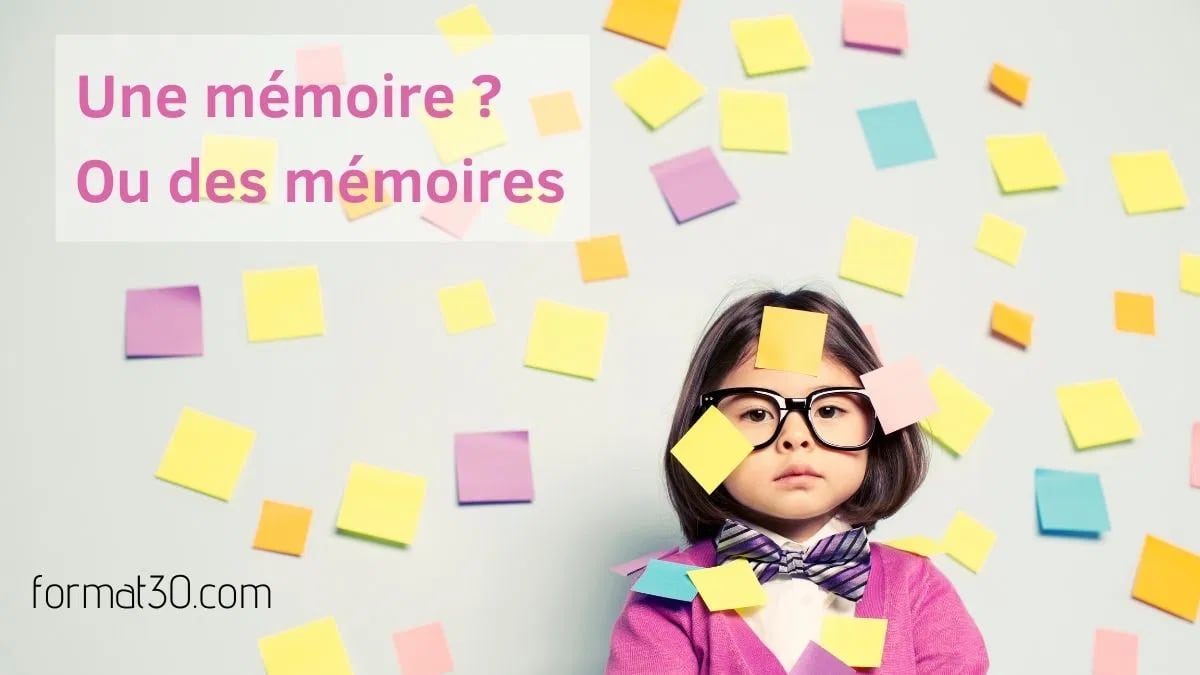 Mémoire ou mémoires ? Les différents types — Formation 3.0