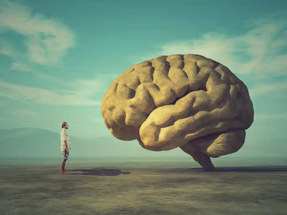 Penser à ses propres pensées ou comment le cerveau s’observe — The Conversation