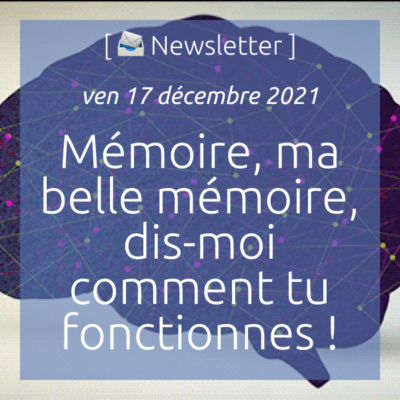 newsletter-du-17-decembre-2021-memoire-ma-belle-memoire-dis-moi-comment-tu-fonctionnes