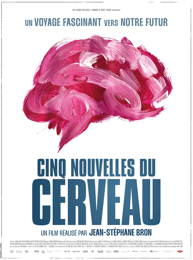 DOCUMENTAIRE : 5 NOUVELLES DU CERVEAU — Sciences cognitives