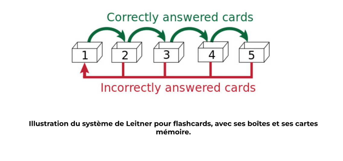 Consolidation mémorielle : la répétition espacée et expansée — Tiny Coaching