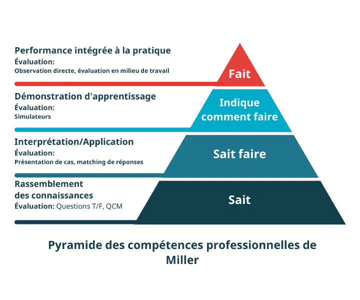 L’évaluation des soft-skills et des hard-skills — Domoscio