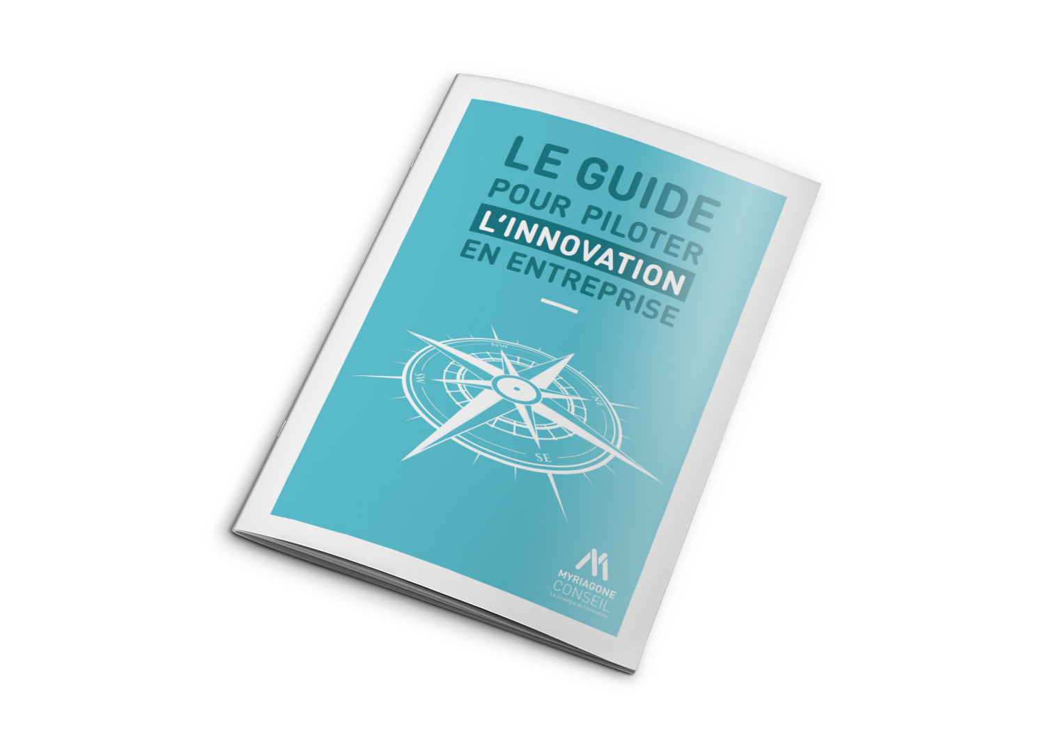 Le Guide pour Piloter l’Innovation — Siècle Digital