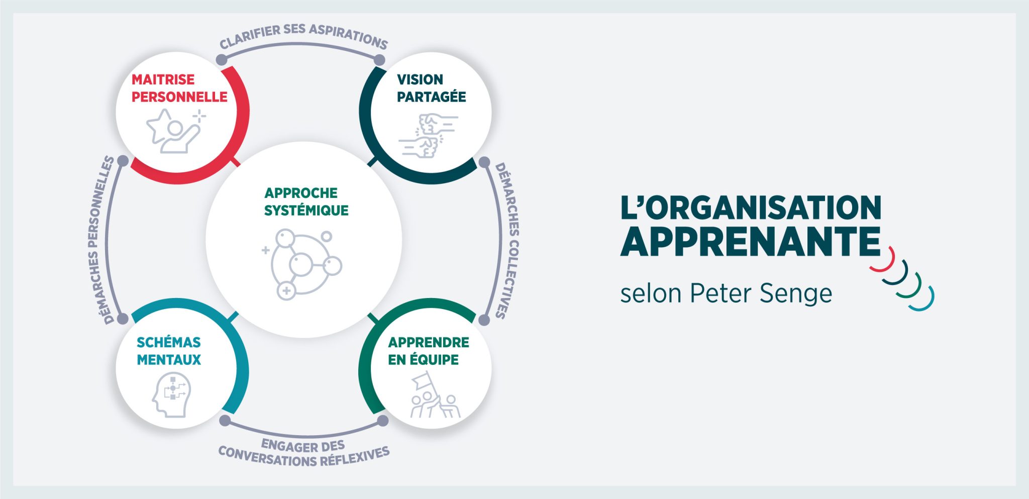 Organisation apprenante : et si le secret était l’équipe ? — Blog IFCAM