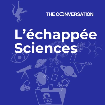 podcast-notre-cerveau-dans-tous-ses-etats-mentaux-the-conversation