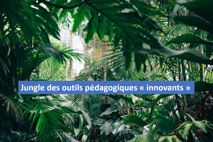 Trouver son chemin dans la jungle des outils pédagogiques « innovants » — Jérôme Bocquet (Linkedin)