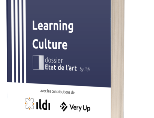 Dossier Etat de l’art “Learning Culture” (juillet 2023)